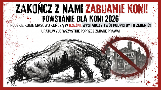 O co walczymy