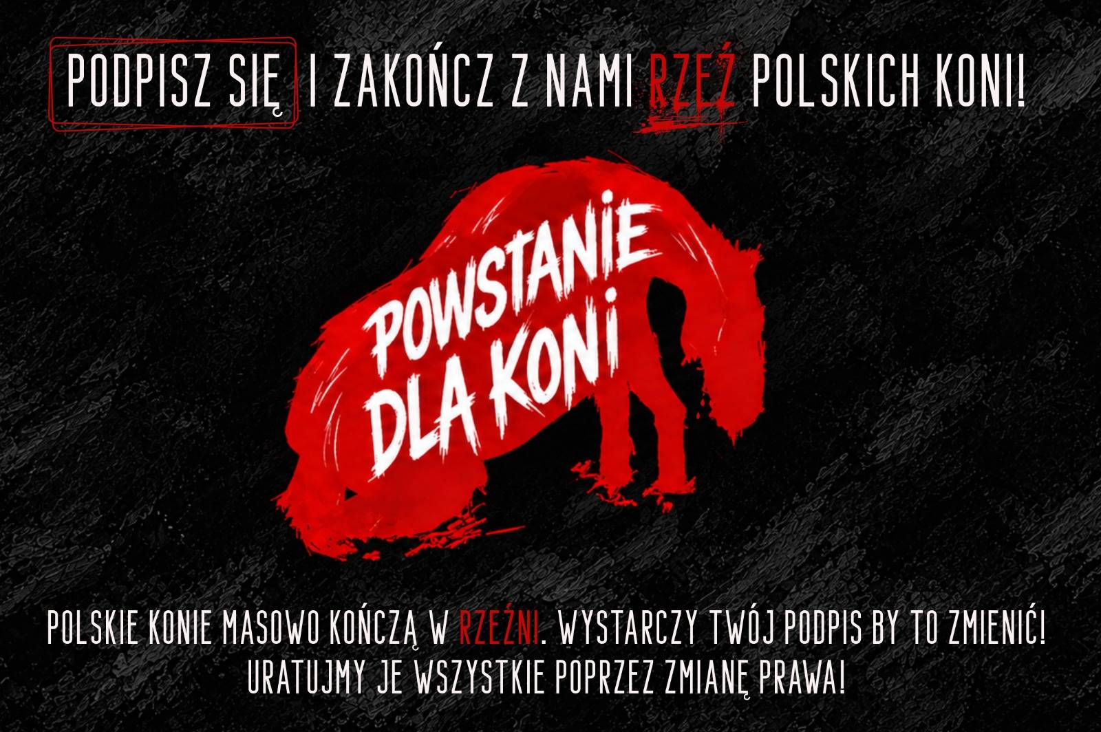 Powstanie dla Koni - Splashscreen